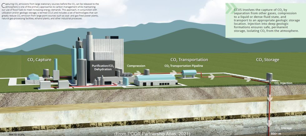 Subsurface Storage and Sequestration - Petrel Robertson Consulting Ltd.